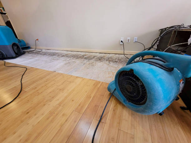 Professional Structural Drying technician working in Rock Creek, MN